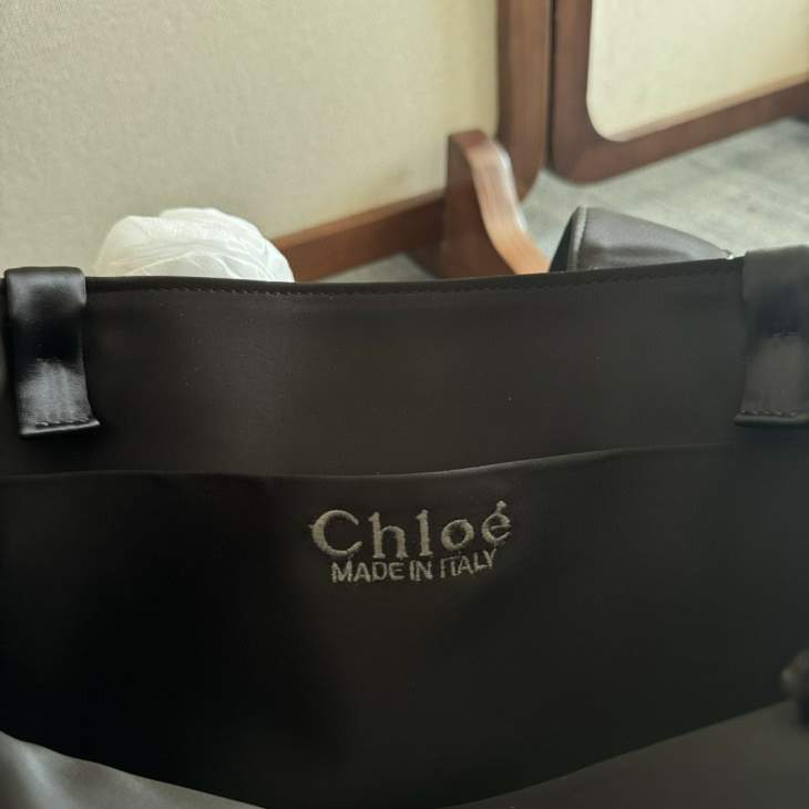 Picture of Chloe Handbags _SKUfw176756978fw